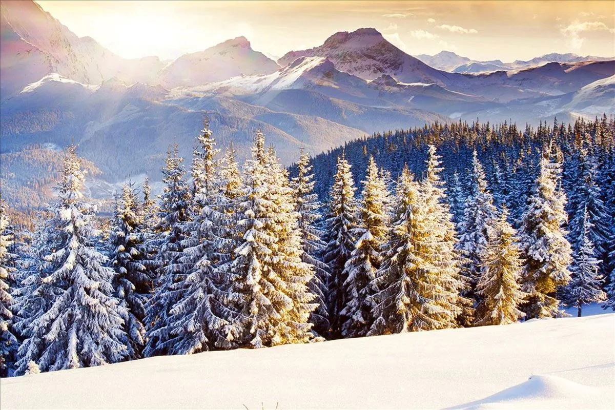 Otobüs İle Bansko Turu - 4 Gece 6 Gün